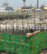 導(dǎo)軌式液壓提升機(jī)